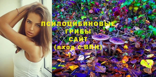 гашик Армянск