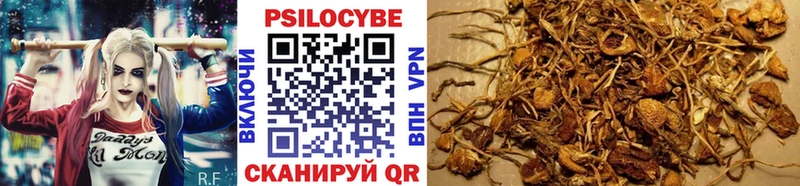 Псилоцибиновые грибы Psilocybine cubensis  где купить наркоту  Старая Купавна 